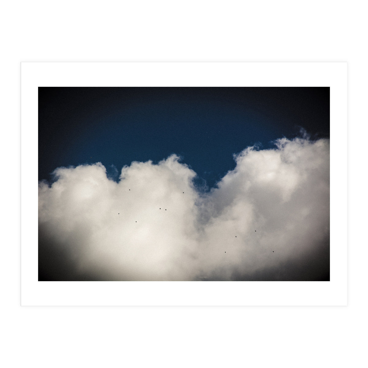 Balloons (Print Only)