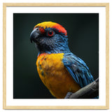 Close Up Colorful Parrot Perched On A Branch thumbnail