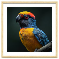 Close Up Colorful Parrot Perched On A Branch