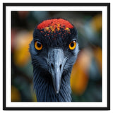 Close Up Of A Strikingly Beautiful Bird Face thumbnail