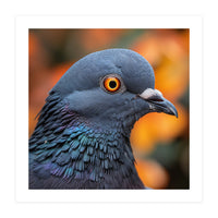 Close Up Of A Pigeon's Head And Neck (Print Only)