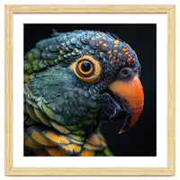 Close Up Of A Colorful Parrot's Face