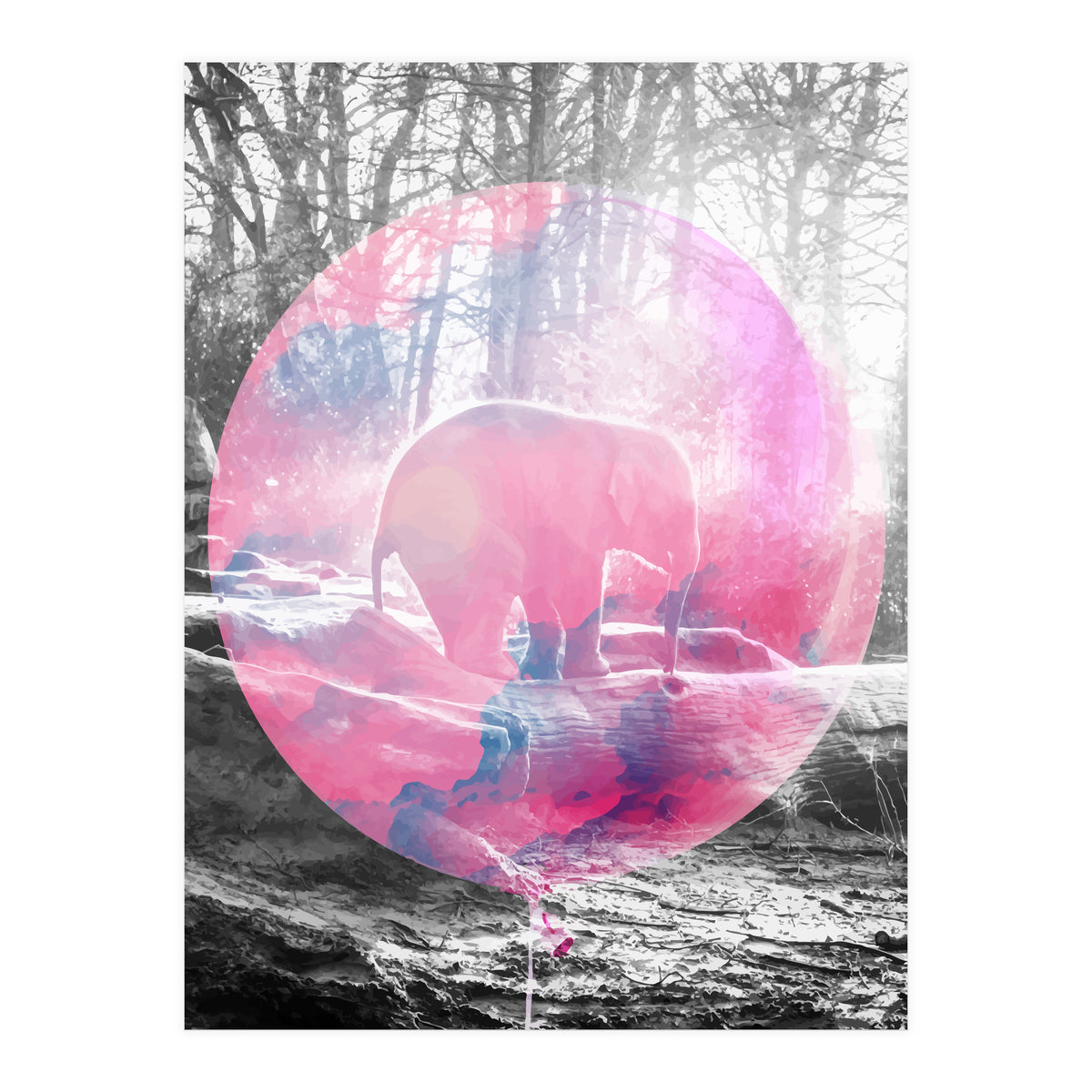 Baby Elephant In A Balloon (Print Only)