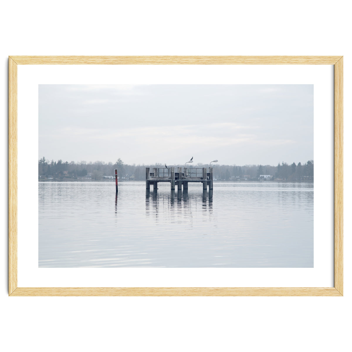 Birds rest in the Lake