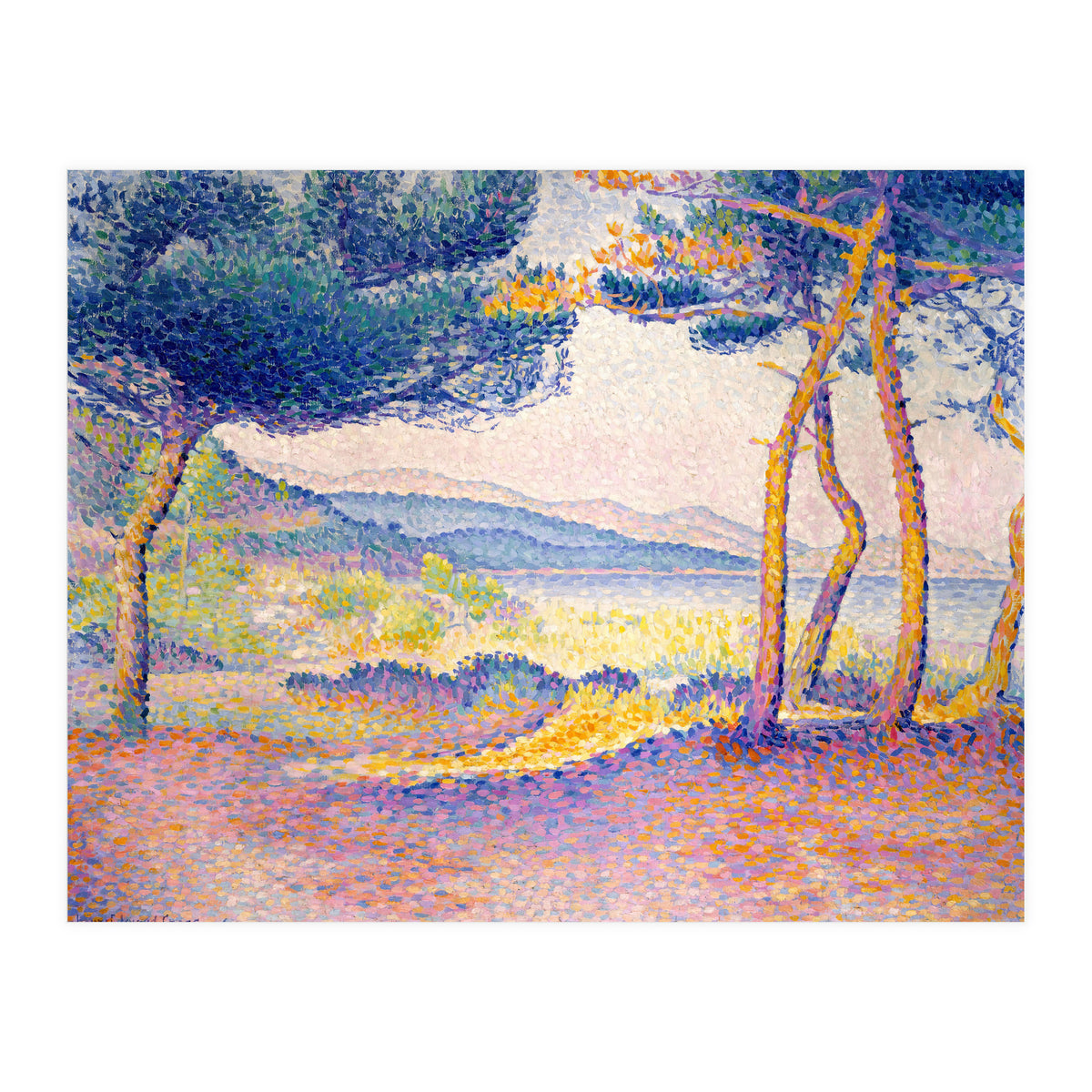 Pines Along the Shore. (Print Only)