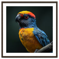Close Up Colorful Parrot Perched On A Branch