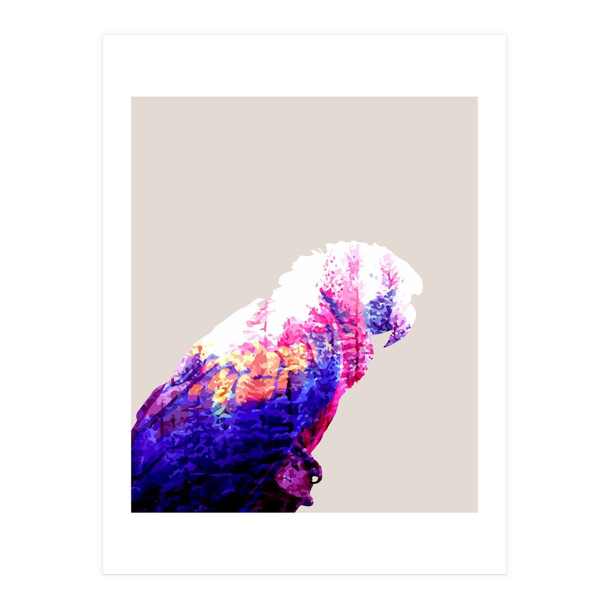 Macaw (Print Only)