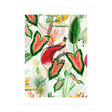 Vintage Bird Of Paradise in Jungle (Print Only) thumbnail