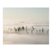 Misty Peaks: Pine Forest Above the Clouds (Print Only)