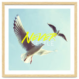 Never Settle thumbnail