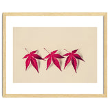Dancing Leaves thumbnail