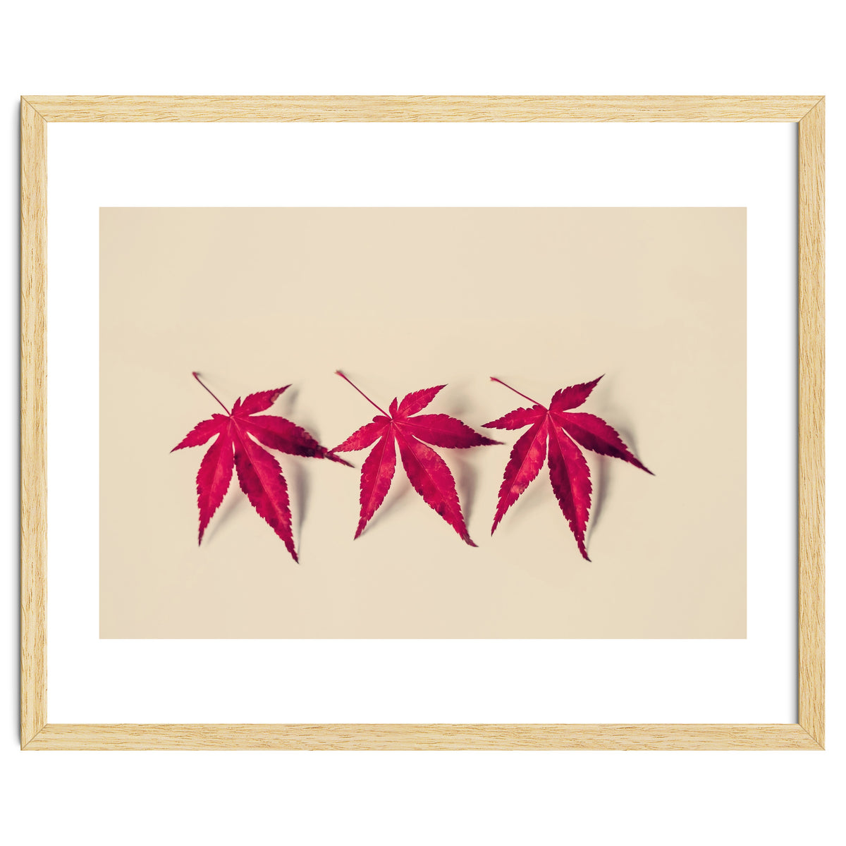 Dancing Leaves