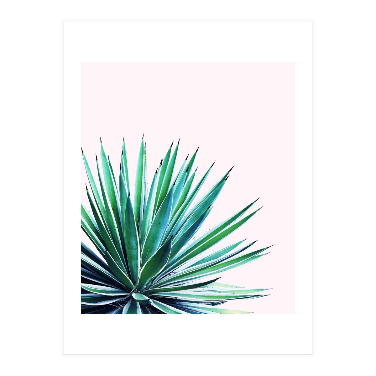 Agave Love #society6 #decor #buyart (Print Only)