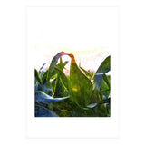 Hope With Abstraction (Print Only) thumbnail