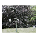 Signs at the corner of the street (Print Only) thumbnail