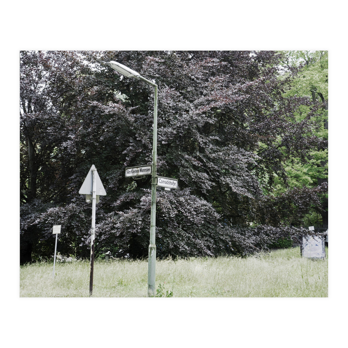 Signs at the corner of the street (Print Only)