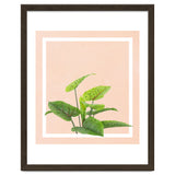 Botanical Art thumbnail