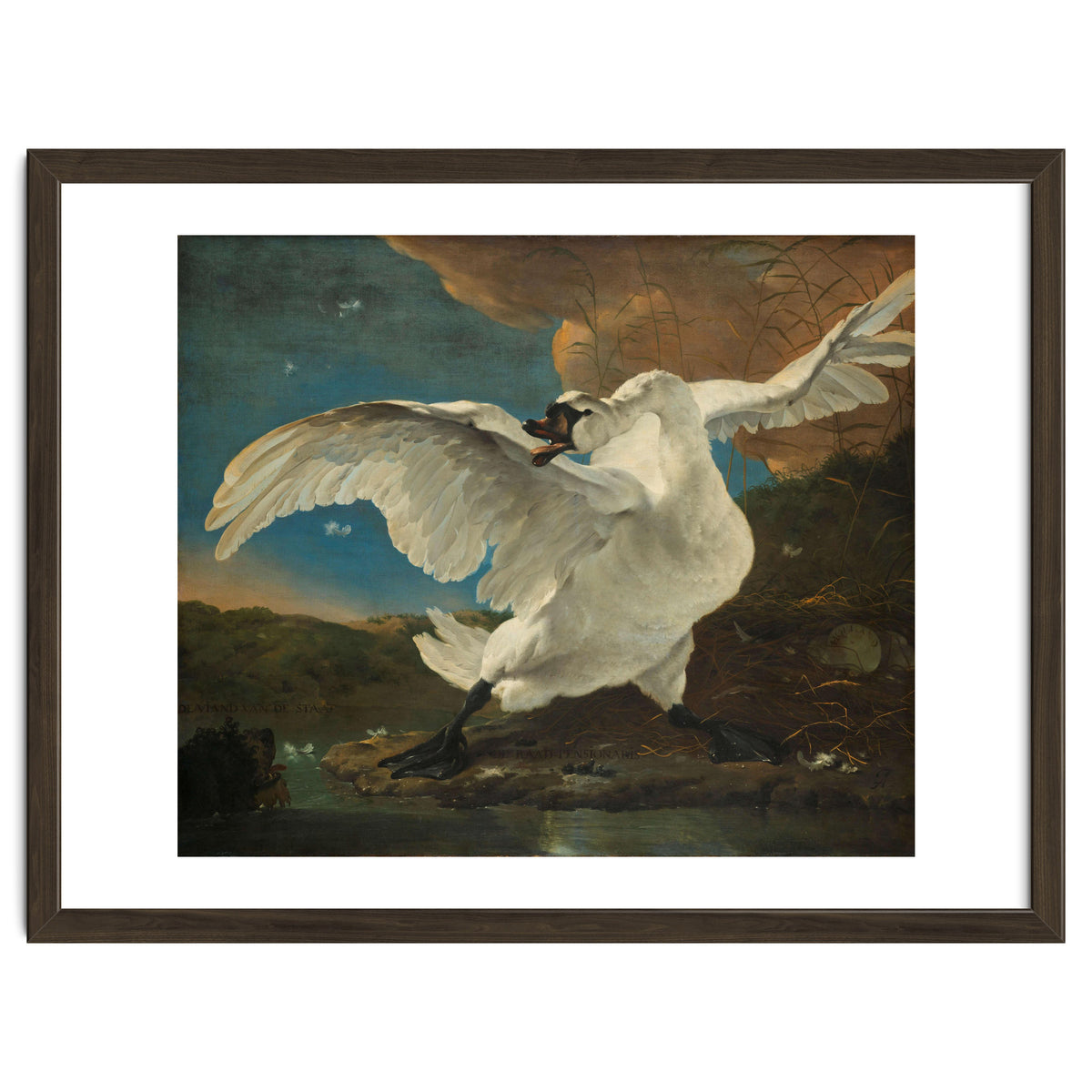 The Threatened Swan. The Threatened Swan; Interpreted later as an Allegory on Johan de Witt. Dati...