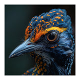 Close Up Of A Colorful Bird Head And Eye (Print Only) thumbnail