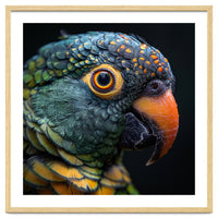 Close Up Of A Colorful Parrot's Face