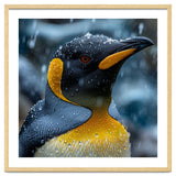 King Penguin Close Up In The Rain thumbnail