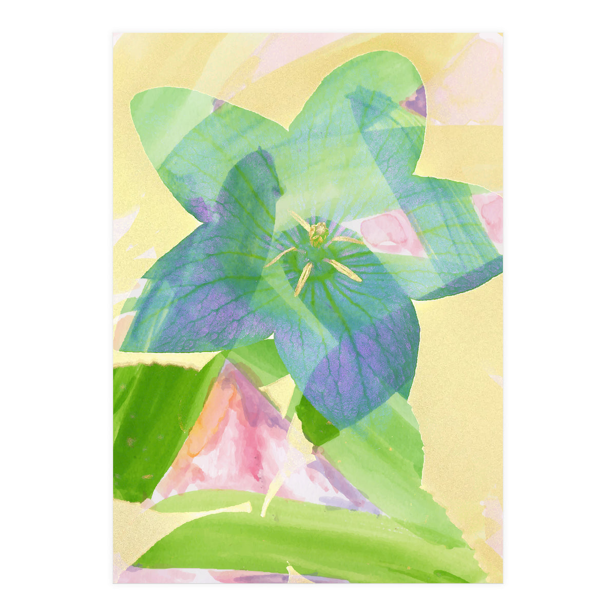 A Peaceful World (Print Only)