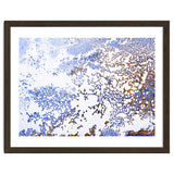 Coral Blooming thumbnail