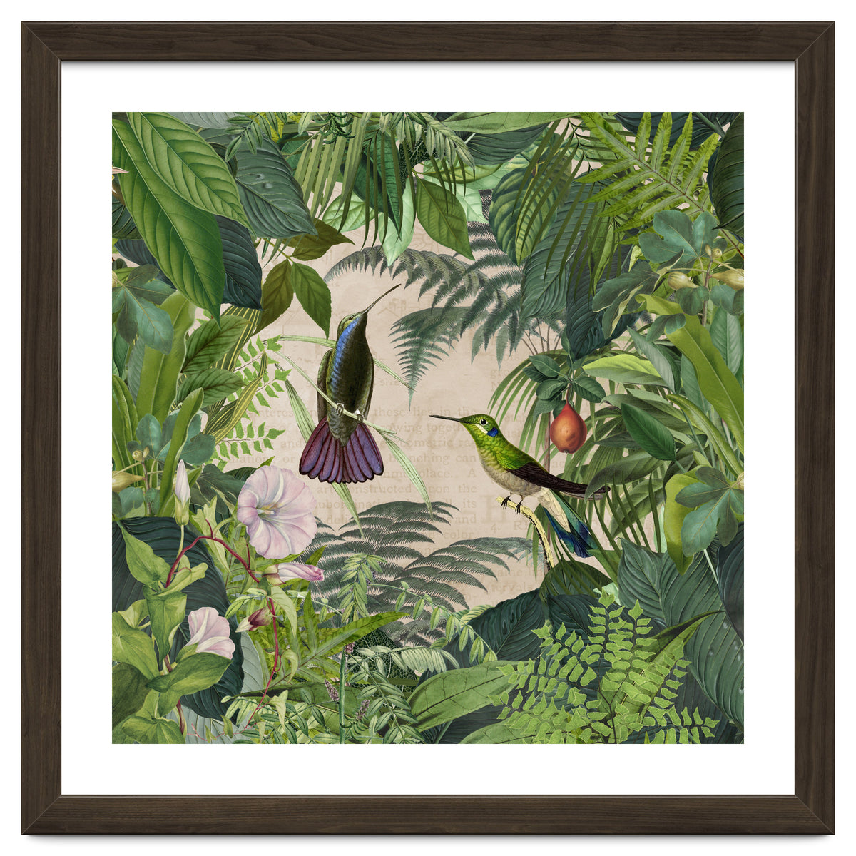 Tropical Hummingbird Jungle