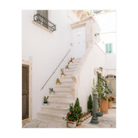 Stairs with cacti (Print Only)