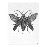 Riesen Longhorn Käfer (Print Only) thumbnail