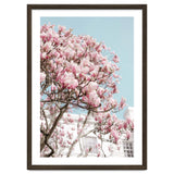 Spring Time thumbnail