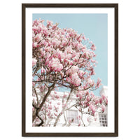 Spring Time