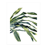 Green Palm Leaves (Print Only) thumbnail