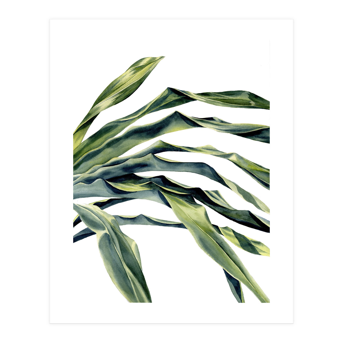Green Palm Leaves (Print Only)