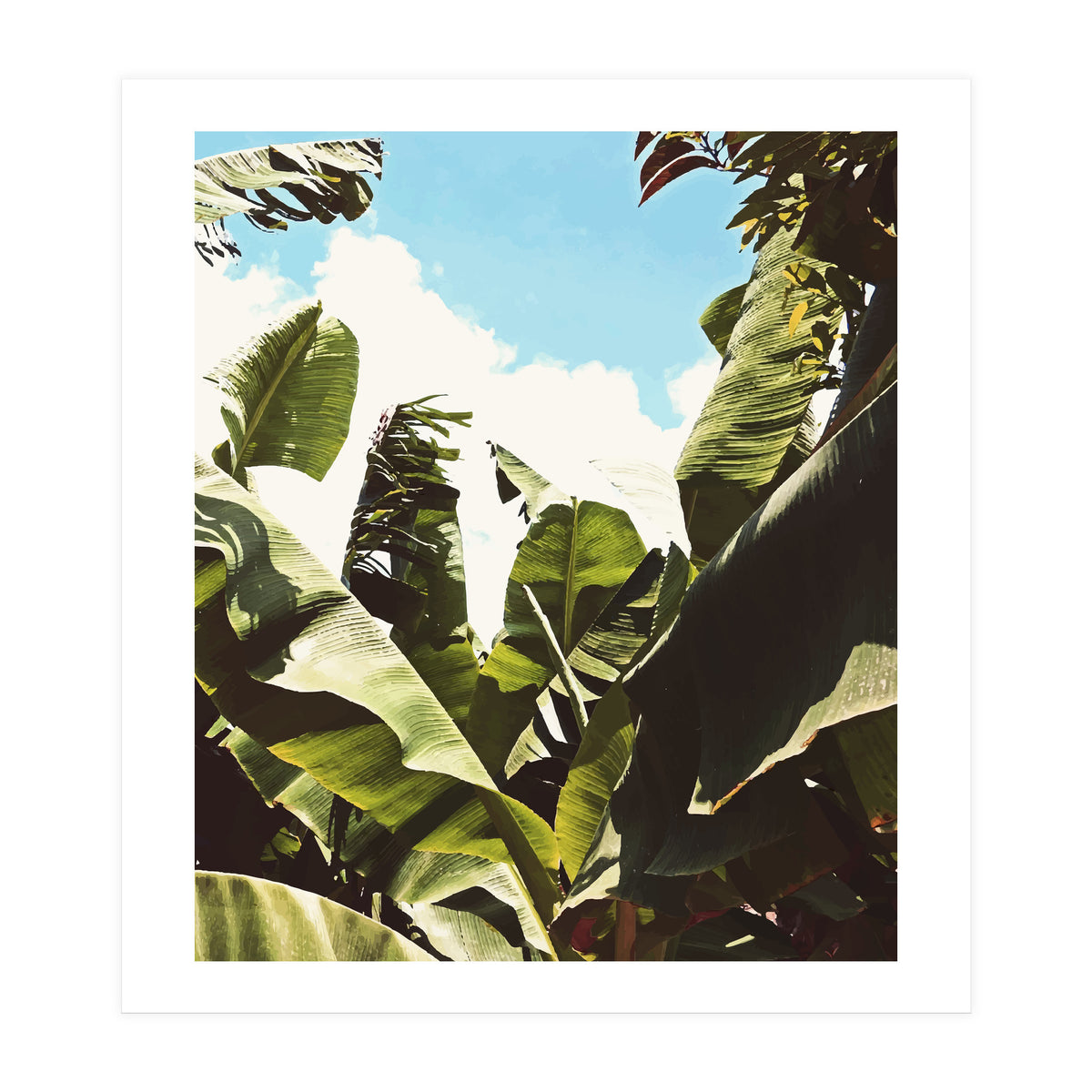 Silent Compilation (Print Only)