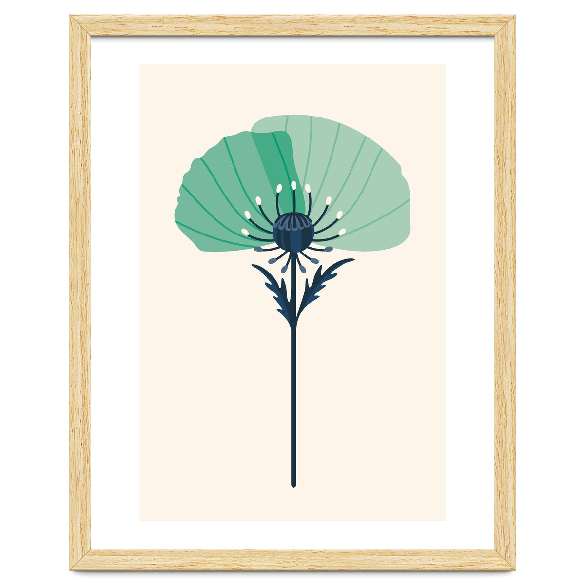 Teal Half Poppy