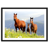 Three Horses thumbnail