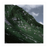 SKIN OF NATURE - WILD CLIFF (Print Only) thumbnail