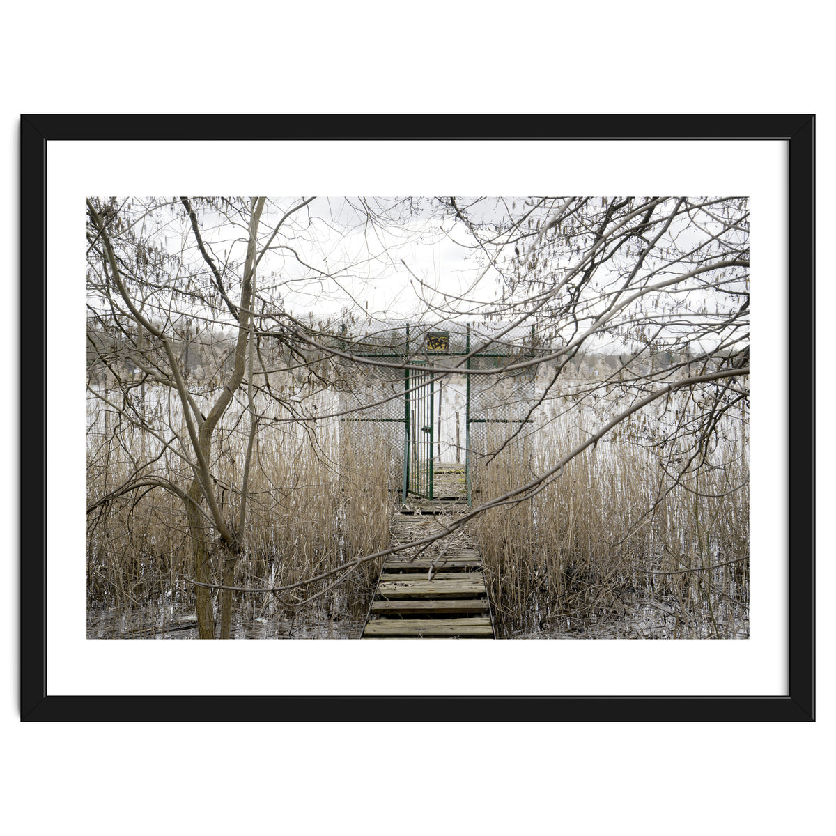 The gate to the lake