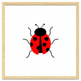 Lady Bug thumbnail