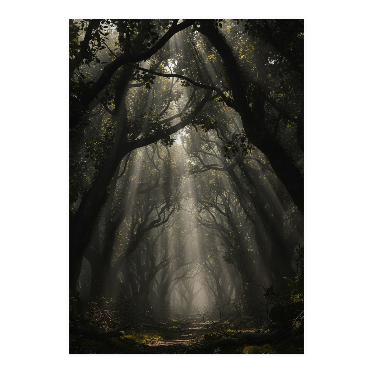 Enchanted Canopy: Mystical Forest Path (Print Only)