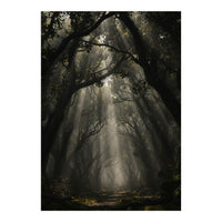 Enchanted Canopy: Mystical Forest Path (Print Only)