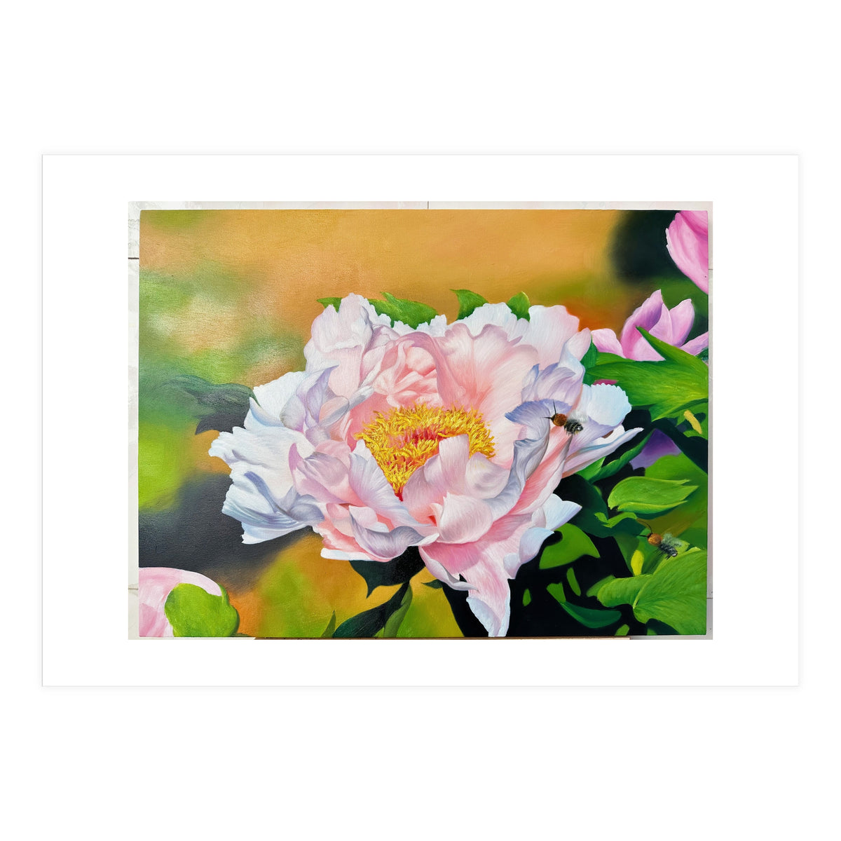 peony (Print Only)