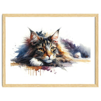 Maine Coon Resting Portrait