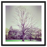 Tree Of Dreams thumbnail