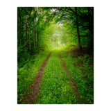 Green Forest Trail (Print Only) thumbnail