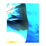 Aqua Fire |  Sea Wall (Print Only) thumbnail