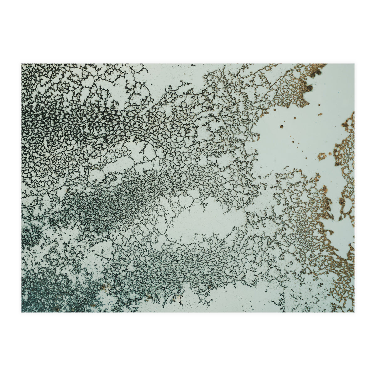 Synchronize (Print Only)