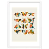 Colorful Butterflies thumbnail