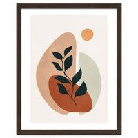 Soft Shapes II